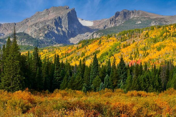 Full-Day RMNP Over the Top Tour - RMNPhotographer - Wildlife Spotting