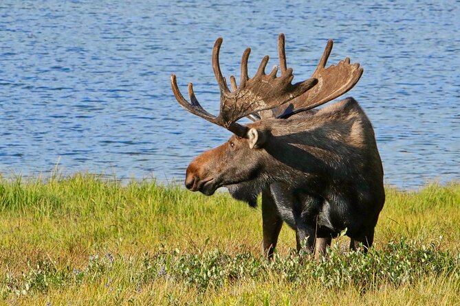 Full-Day Rocky Mountain National Park Over The Top Tour - RMNPhotographer - Key Points