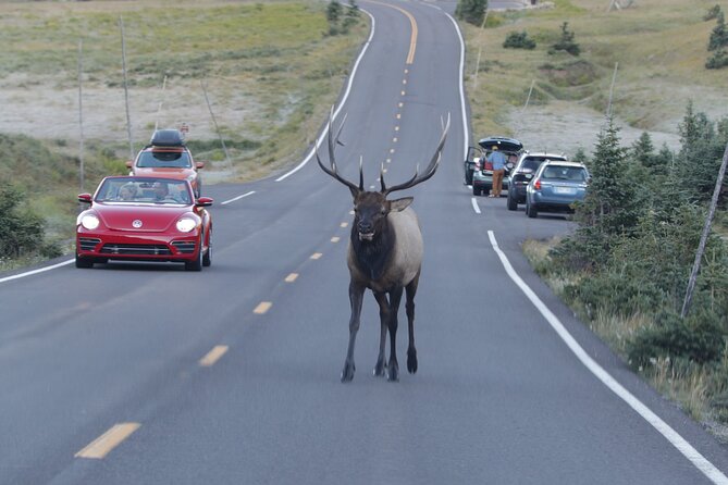 Full-Day Rocky Mountain National Park Over The Top Tour - RMNPhotographer - Additional Tour Details