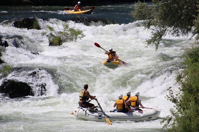 Full Day Rogue River Experience Class (I-IV) - Navigating the Rapids