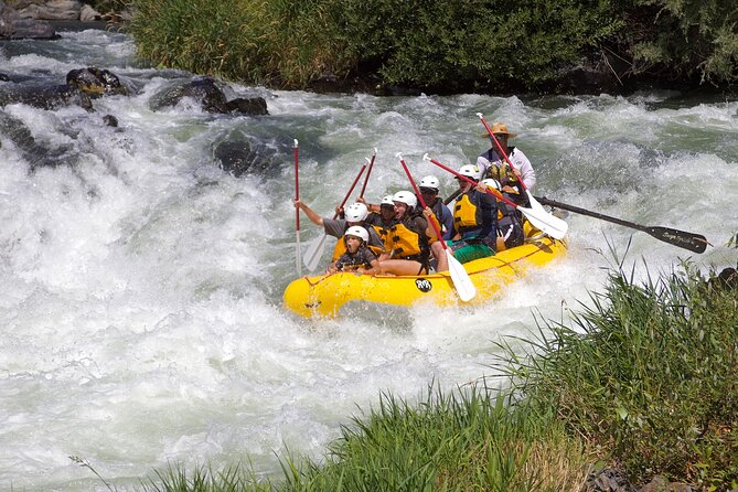 Full Day Rogue River Experience Class (I-IV) - Physical Fitness Requirements