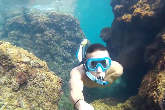 Full Day Rosario Island, Cholon, Agua Azul, Baru, and Free Snorkeling - Customer Feedback and Ratings