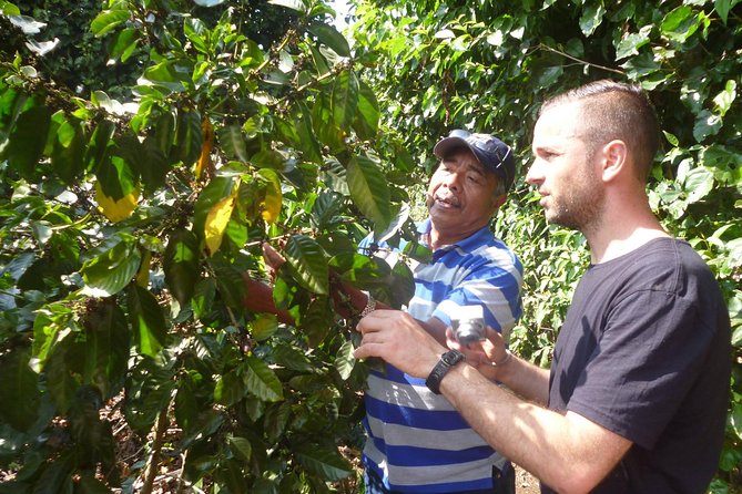 Full Day Route of the Flowers Visit Four Colonial Towns and Coffee Farm - Exploring the Colonial Towns