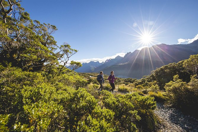 Full-Day Routeburn Track Key Summit Guided Walk From Te Anau - Reviews and Feedback