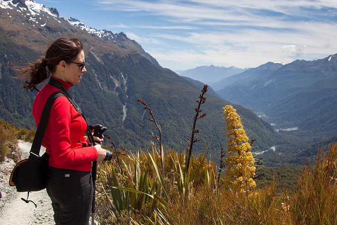 Full-Day Routeburn Track Key Summit Guided Walk From Te Anau - Moderate Hiking Difficulty and Duration