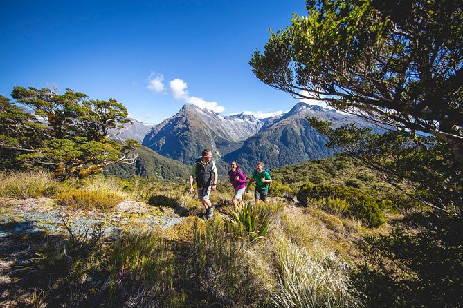 Full-Day Routeburn Track Key Summit Guided Walk From Te Anau - Personalized Attention From Experienced Guides