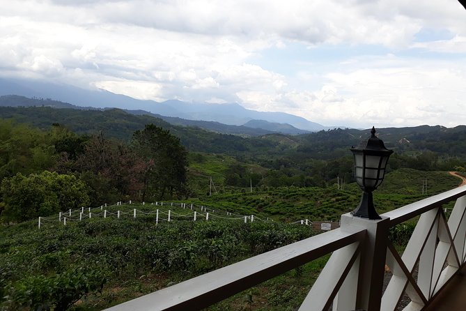 Full Day Sabah Tea Plantation & WWII Memorial - Memorial and Scenic Highlights