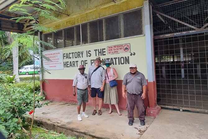 Full Day Sabah Tea Plantation & WWII Memorial - Customer Feedback