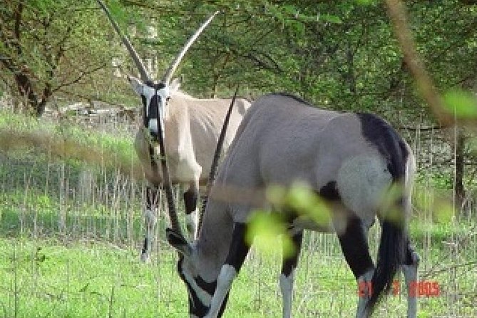 FULL-DAY SAFARI and PINK LAKE TOUR (Minimum 2 Pax) - Key Points