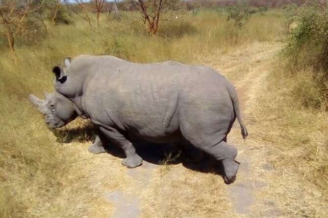FULL-DAY SAFARI and PINK LAKE TOUR (Minimum 2 Pax) - Lake Visit