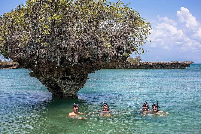 Full-Day Safari Blue Trip in Zanzibar With Lunch Buffet - Key Points