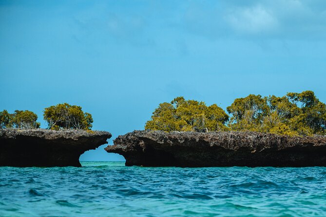 Full Day Safari Blue Zanzibar - Inclusions and Exclusions