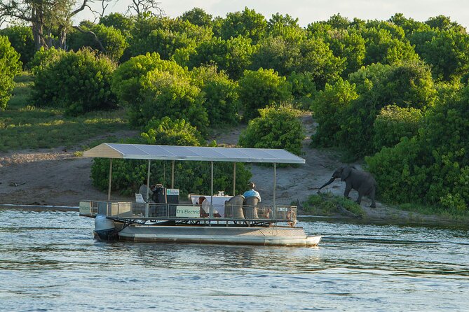 Full-Day Safari Chobe National Park - Key Points