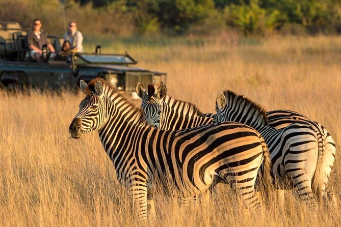 Full Day Safari From Durban to Hluhluwe-Imfolozi Game Reserve - Meeting and Pickup Details