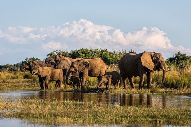 Full Day Safari From Durban to Hluhluwe-Imfolozi Game Reserve - Pricing Information