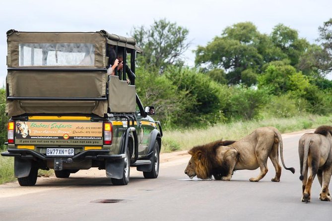 Full Day Safari - Kruger National Park - Included Amenities