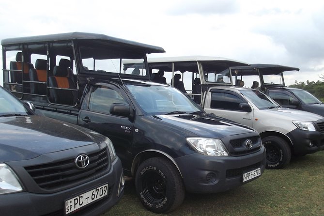 Full Day Safari - Leopard Tour Yala - 04.30 Am to 06.00 Pm - Good To Know