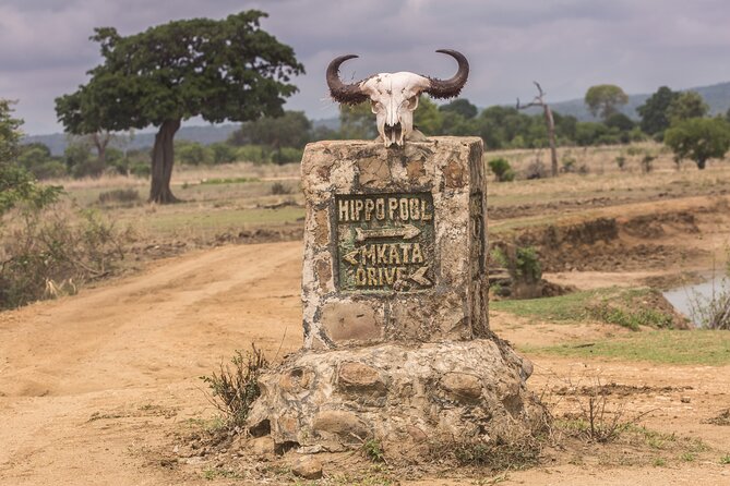 Full-Day Safari Tour From Mikumi National Park of Zanzibar - Experiencing Wildlife Encounters