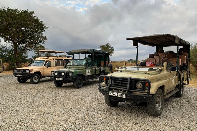 Full-Day Safari Tour From Mikumi National Park of Zanzibar - Savoring the Included Lunch