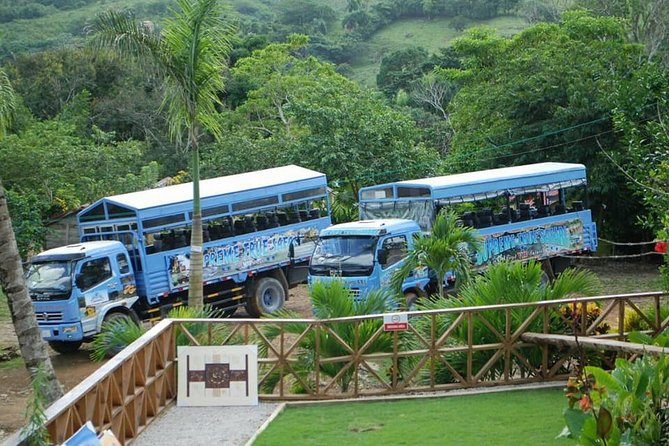 Full-Day Safari Tour From Punta Cana - Transportation and Accessibility