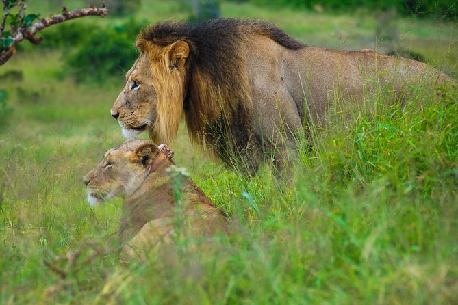 Full Day Safari Tour In Addo Elephant National Park - Booking Process and Confirmation