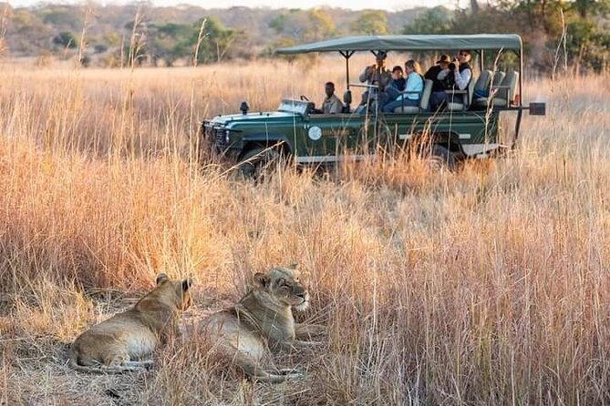 Full-day Safari Tour in Chobe - Group Size