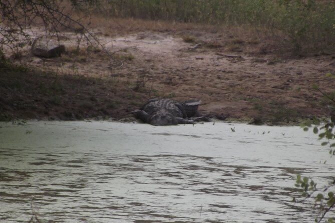 Full Day Safari Tour in Yala National Park - Customization Options