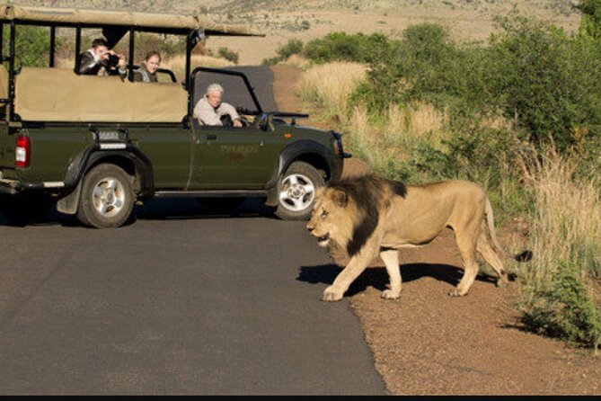 Full Day Safari Tour of Pilanesberg National Park, Open Jeep Experience - Cancellation Policy