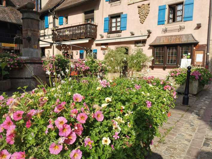 Full Day Safari Tour Villages & Vineyards Wine Tasting - Tour Features