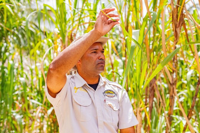 Full Day Safari Tour With Local Touch Including Lunch - Savoring Local Delicacies