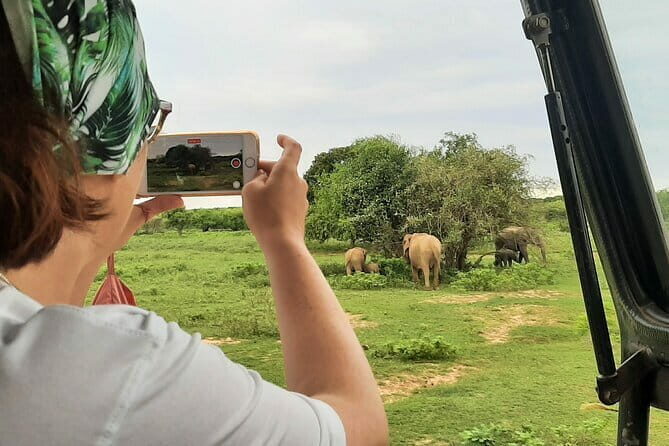 Full Day Safari Tour Yala - Cost and Value Analysis