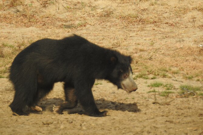 Full Day Safari - Yala National Park - 04.30 Am to 06.00 Pm With - Janaka Safari - Authentic Sri Lankan Cuisine
