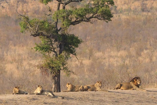 Full Day Safaris, Tours and Destination Management By Robbie Williams Safaris - Pickup and Confirmation
