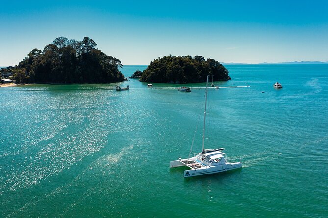Full-Day Sailing Adventure in the Abel Tasman National Park - Meeting and Departure