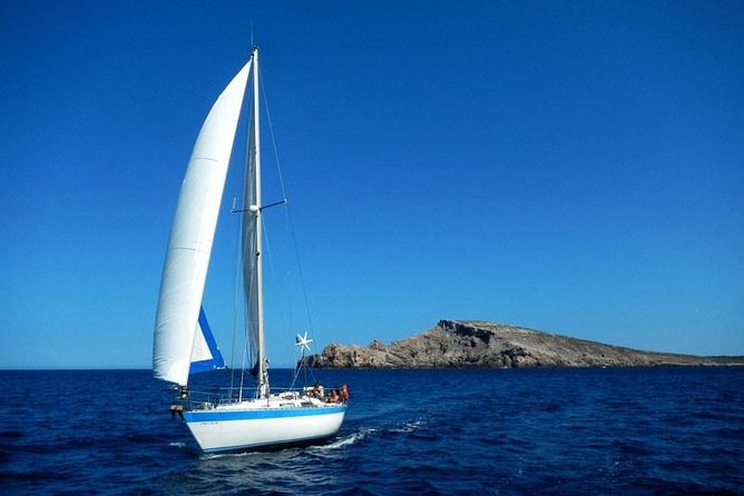 Full-day Sailing Experience in Menorca - Activities and Highlights