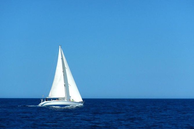 Full-day Sailing Experience in Menorca - Tour Details