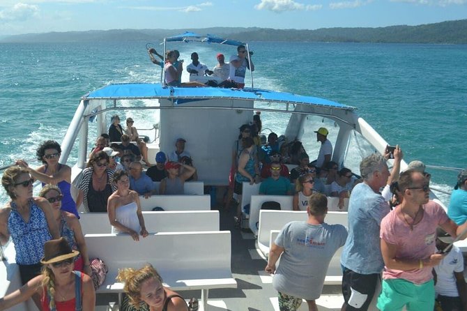 Full Day Samana Whales From Punta Cana With Waterfall, Bacardi Island & Lunch - Whale Watching Experience