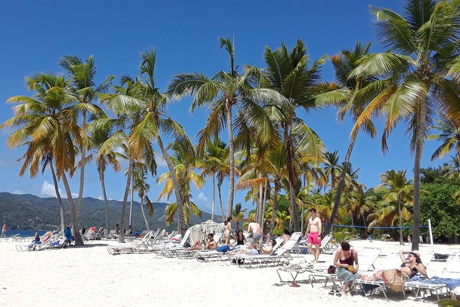 Full Day Samana Whales From Punta Cana With Waterfall, Bacardi Island & Lunch - Horseback Ride to Waterfall