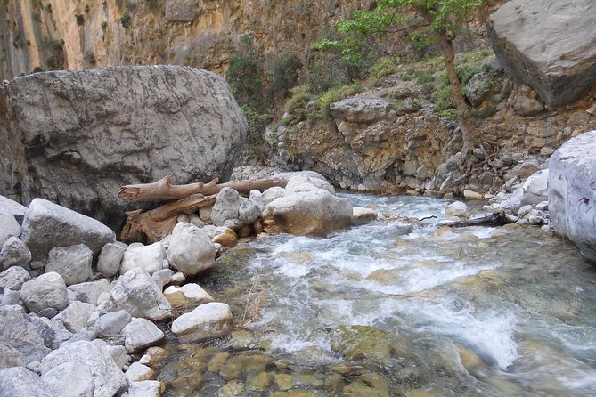 Full Day Samaria Gorge 10-Mile Walking Tour - Traveler Feedback and Recommendations