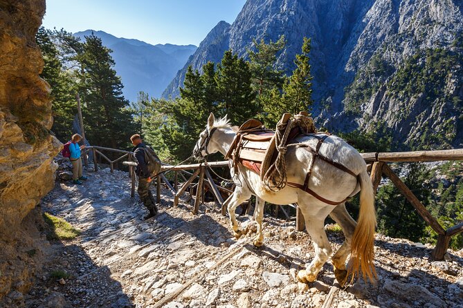 Full-Day Samaria Gorge Hiking Tour From Rethymnon - Hiking Experience