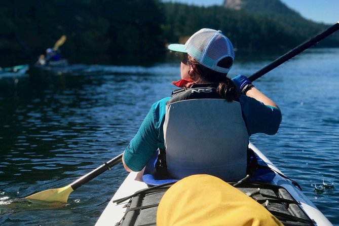 Full Day San Juan Island Kayaking Adventure - Memorable Moments on the Water