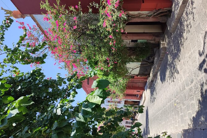 Full Day: San Miguel De Allende - Xochimilco Canals Experience