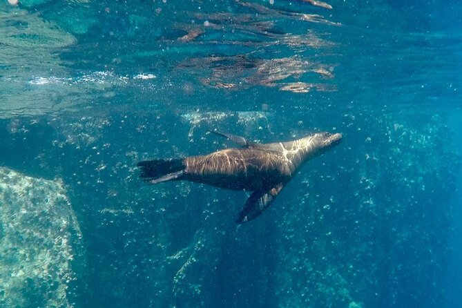 Full Day Santa Fe and Playa Escondida With Snorkeling and Lunch Included - Included Activities and Amenities