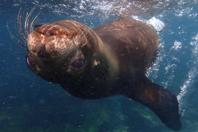 Full Day Santa Fe and Playa Escondida With Snorkeling and Lunch Included - Guest Reviews and Feedback