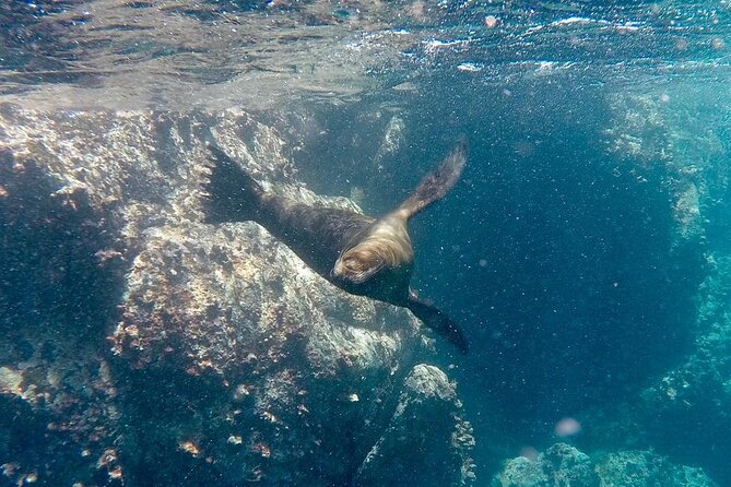 Full Day Santa Fe and Playa Escondida With Snorkeling and Lunch Included - Cancellation and Refund Policy
