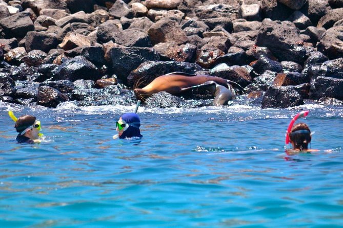 Full Day Santa Fe & Playa Escondida Snorkeling Tour - Meeting and Pickup Details