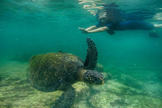 Full Day Santa Fe & Playa Escondida Snorkeling Tour - Positive Traveler Feedback