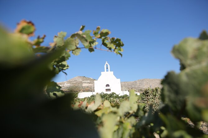 Full Day Santorini Photo Workshop - Booking Information