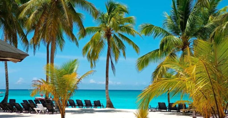 Full Day Saona Island Adventure - Location and Historical Background