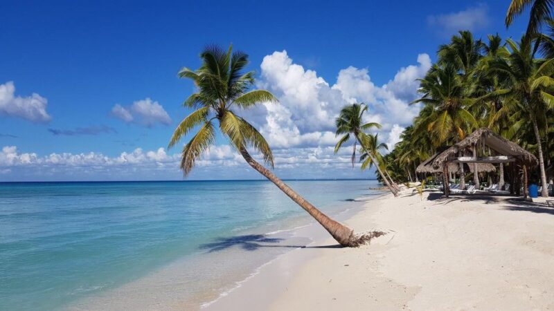 Full Day Saona Island Adventure - Itinerary and Activities